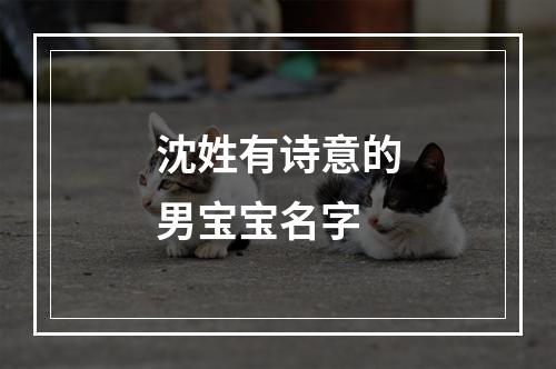 沈姓有诗意的男宝宝名字