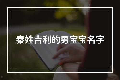 秦姓吉利的男宝宝名字