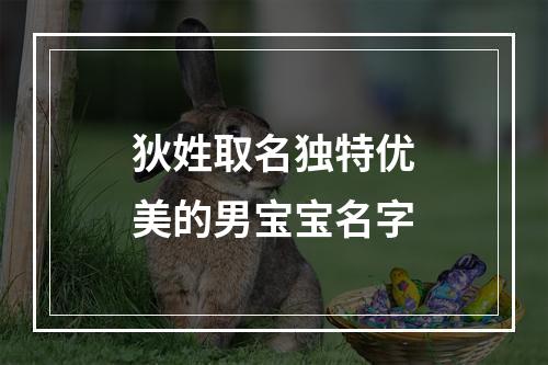 狄姓取名独特优美的男宝宝名字