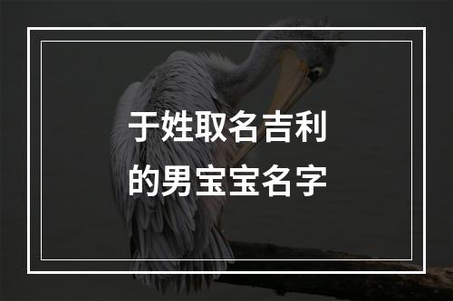 于姓取名吉利的男宝宝名字