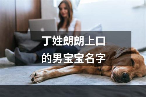丁姓朗朗上口的男宝宝名字