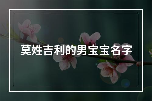 莫姓吉利的男宝宝名字