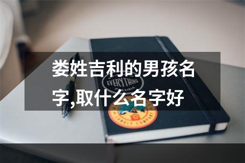 娄姓吉利的男孩名字,取什么名字好