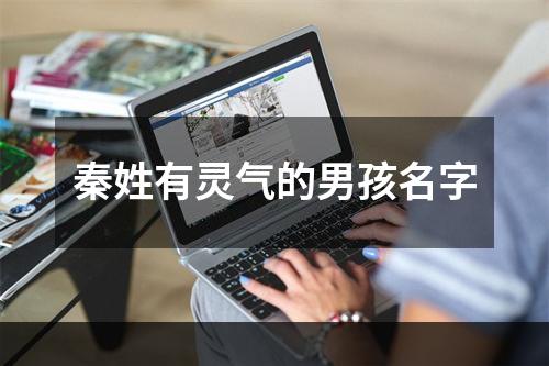 秦姓有灵气的男孩名字