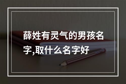 薛姓有灵气的男孩名字,取什么名字好
