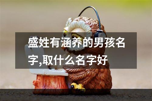盛姓有涵养的男孩名字,取什么名字好
