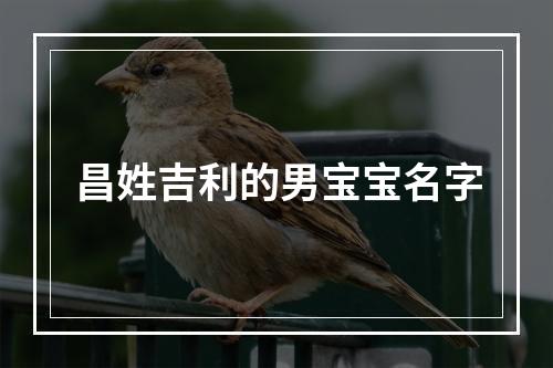 昌姓吉利的男宝宝名字