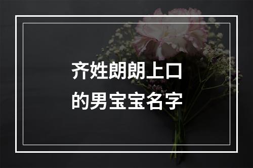 齐姓朗朗上口的男宝宝名字