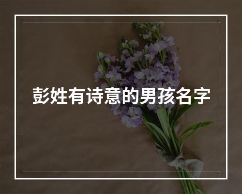彭姓有诗意的男孩名字