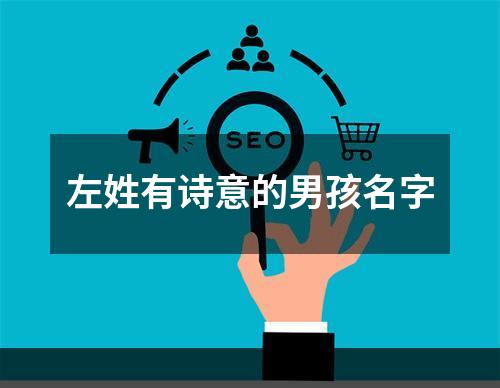 左姓有诗意的男孩名字