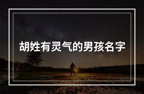 胡姓有灵气的男孩名字