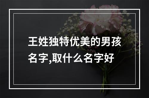 王姓独特优美的男孩名字,取什么名字好
