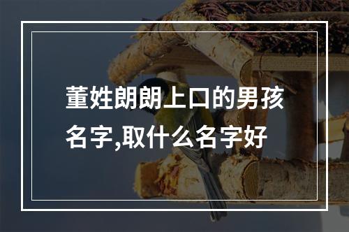 董姓朗朗上口的男孩名字,取什么名字好