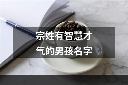 宗姓有智慧才气的男孩名字