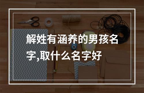 解姓有涵养的男孩名字,取什么名字好