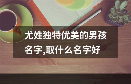 尤姓独特优美的男孩名字,取什么名字好