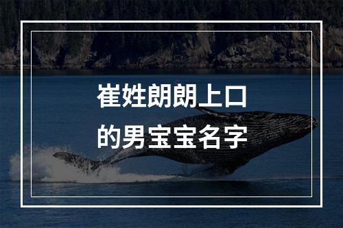 崔姓朗朗上口的男宝宝名字