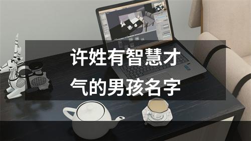 许姓有智慧才气的男孩名字