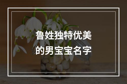鲁姓独特优美的男宝宝名字