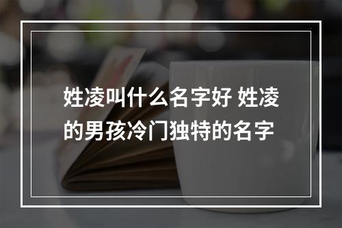 姓凌叫什么名字好 姓凌的男孩冷门独特的名字