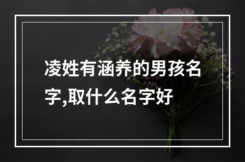 凌姓有涵养的男孩名字,取什么名字好