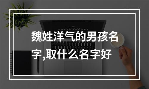 魏姓洋气的男孩名字,取什么名字好