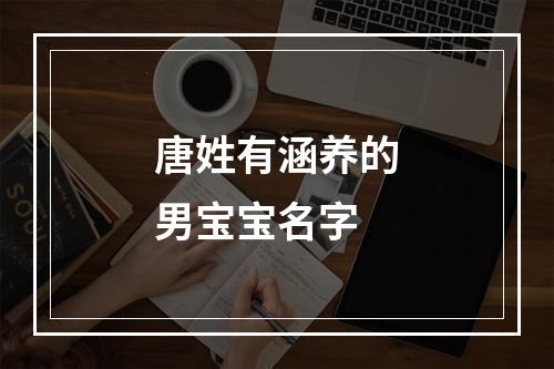 唐姓有涵养的男宝宝名字
