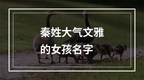 秦姓大气文雅的女孩名字