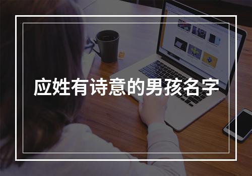 应姓有诗意的男孩名字