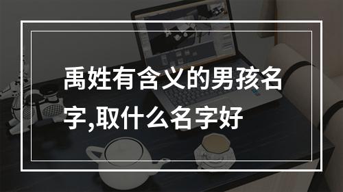 禹姓有含义的男孩名字,取什么名字好