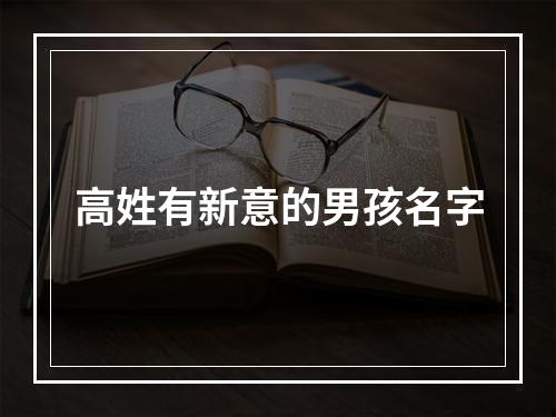 高姓有新意的男孩名字