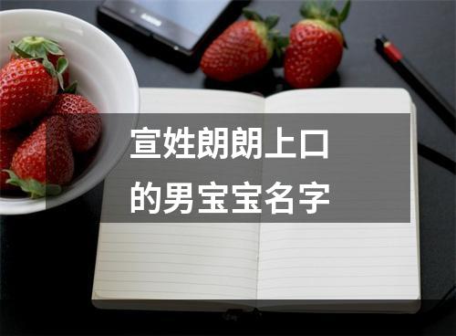 宣姓朗朗上口的男宝宝名字