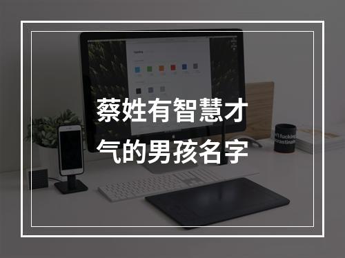 蔡姓有智慧才气的男孩名字