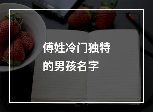 傅姓冷门独特的男孩名字