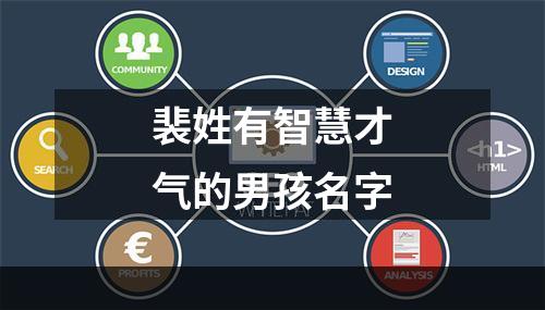 裴姓有智慧才气的男孩名字