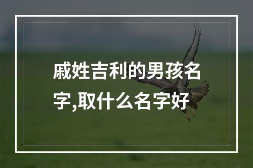 戚姓吉利的男孩名字,取什么名字好