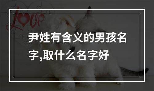 尹姓有含义的男孩名字,取什么名字好