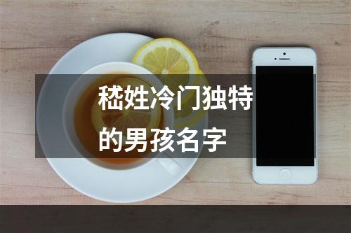嵇姓冷门独特的男孩名字