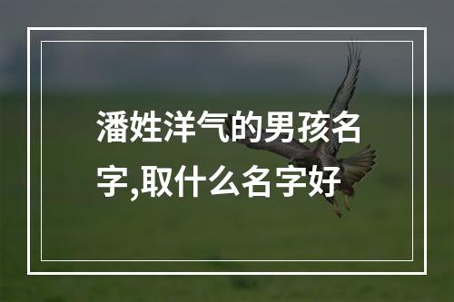 潘姓洋气的男孩名字,取什么名字好