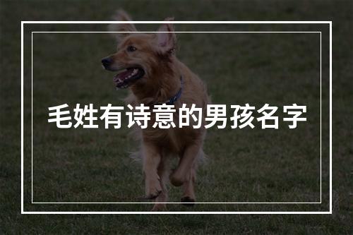 毛姓有诗意的男孩名字