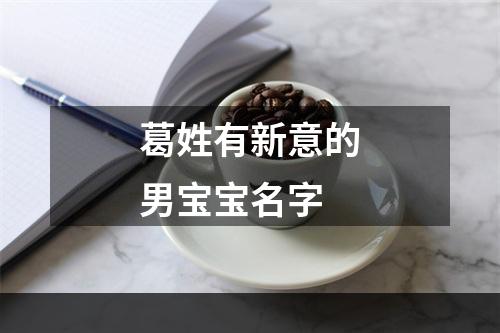 葛姓有新意的男宝宝名字