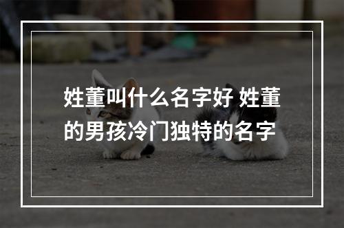 姓董叫什么名字好 姓董的男孩冷门独特的名字