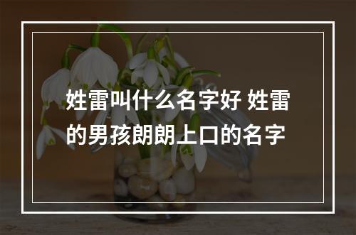 姓雷叫什么名字好 姓雷的男孩朗朗上口的名字