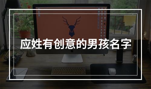 应姓有创意的男孩名字