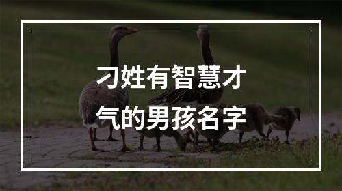 刁姓有智慧才气的男孩名字
