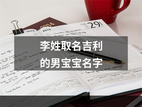李姓取名吉利的男宝宝名字