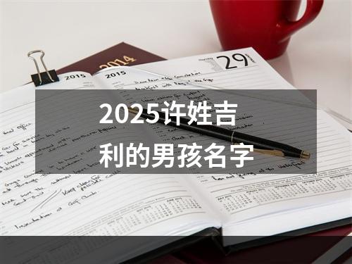 2025许姓吉利的男孩名字