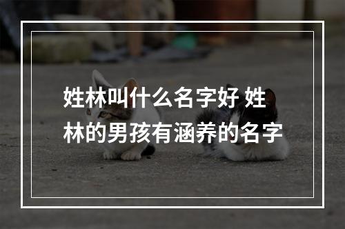 姓林叫什么名字好 姓林的男孩有涵养的名字