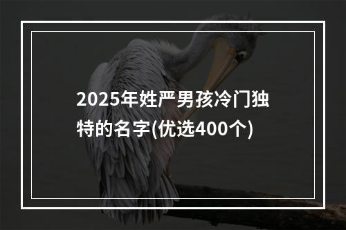 2025年姓严男孩冷门独特的名字(优选400个)