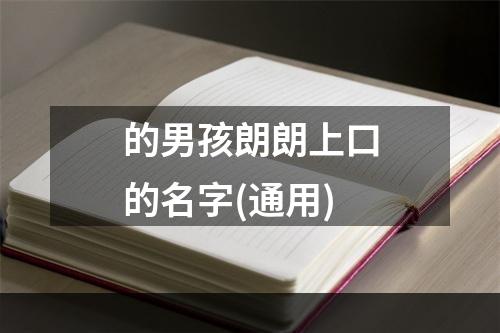 的男孩朗朗上口的名字(通用)